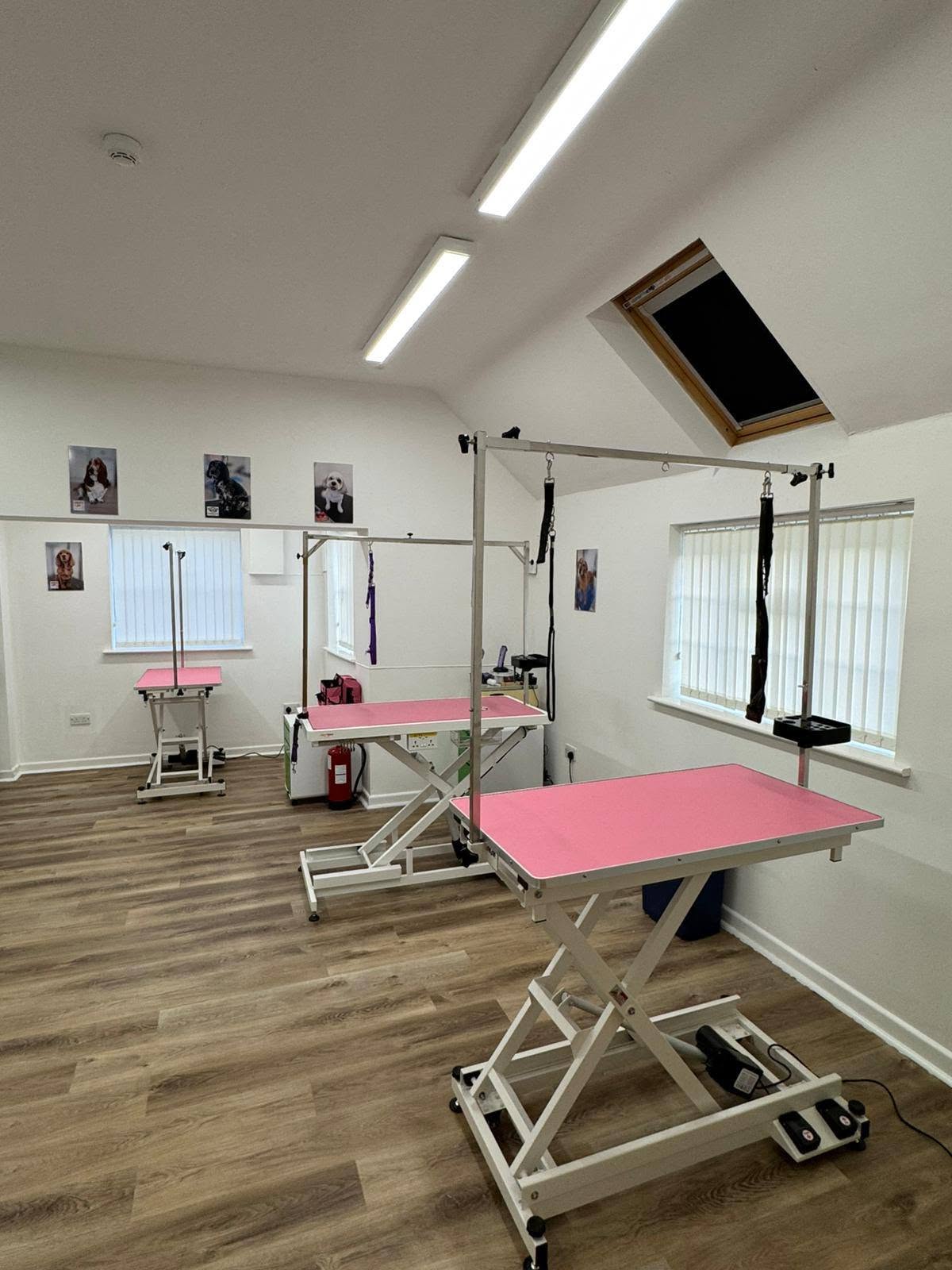 Grooming room with two pink-topped grooming tables, grooming arms and a skylight